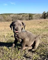 processed/d64b5ec7-e88d-4598-b2f7-3377fba6ac7a/listing/c44a0333-9991-4dc9-ae0f-a5108f301f78/d2069be4-c311-45a3-b410-b9e5cf4db59a