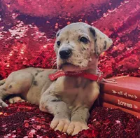 processed/d64b5ec7-e88d-4598-b2f7-3377fba6ac7a/listing/c5be80a7-d14f-401f-92d6-c1c0adb12574/484d28eb-3750-4d2a-82a2-c0dcfde9c3ef