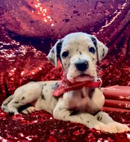 processed/d64b5ec7-e88d-4598-b2f7-3377fba6ac7a/listing/c5be80a7-d14f-401f-92d6-c1c0adb12574/6c5aaa40-6654-402f-bbe9-e8086af41a63