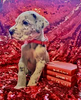 processed/d64b5ec7-e88d-4598-b2f7-3377fba6ac7a/listing/c5be80a7-d14f-401f-92d6-c1c0adb12574/71f8c0eb-a436-440f-9458-206473dcb30b