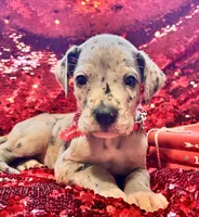 processed/d64b5ec7-e88d-4598-b2f7-3377fba6ac7a/listing/c5be80a7-d14f-401f-92d6-c1c0adb12574/97291ce1-7284-477f-9360-5f348626c8f6