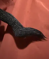 processed/d64b5ec7-e88d-4598-b2f7-3377fba6ac7a/listing/f4d35e25-7512-4b90-b5c7-20fe8f1c26e4/4ecfb0c8-e1d8-495b-aaca-c0f8a6a89ff9