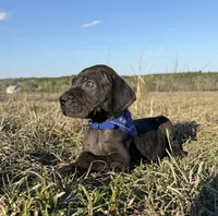 processed/d64b5ec7-e88d-4598-b2f7-3377fba6ac7a/listing/f4d35e25-7512-4b90-b5c7-20fe8f1c26e4/53482c3f-f877-4c4f-9c5b-c63eea5e2cd6