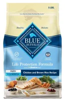 AKC Purebred Golden Retriever, a male Golden Retriever for sale in Sacramento, CA – Photo 6 of 7