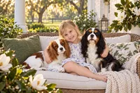 Dottie, a female Cavalier King Charles Spaniel for sale in Picayune, MS – 9 of 10