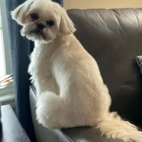 processed/d663de02-f7cb-41fe-9734-016c2fb4fce3/facility/28ddc88b-ba15-45b9-9c17-bd1acd0ad1e2