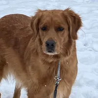 processed/d663de02-f7cb-41fe-9734-016c2fb4fce3/facility/3ce5ea7d-d617-4734-8ae6-ae3642f96a5d