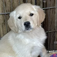 processed/d663de02-f7cb-41fe-9734-016c2fb4fce3/facility/567ace0e-8ecf-4e6e-b0d0-6831294c1fad