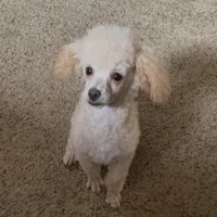 processed/d663de02-f7cb-41fe-9734-016c2fb4fce3/facility/7cfc6561-eadc-4285-8786-23148264ad06