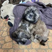 processed/d663de02-f7cb-41fe-9734-016c2fb4fce3/facility/9deb6c5d-9c02-4ca7-b731-ce5782a84077