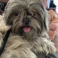 processed/d663de02-f7cb-41fe-9734-016c2fb4fce3/facility/a8672bd6-c927-4b2a-820d-ff8e2c2358e7