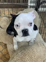 processed/d663de02-f7cb-41fe-9734-016c2fb4fce3/facility/bac27e2a-0863-487c-a41a-4fc30e94d43c