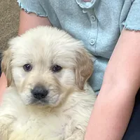 processed/d663de02-f7cb-41fe-9734-016c2fb4fce3/facility/e1aadcb3-92c8-4ae9-9c9a-9df3a5ebc557