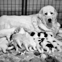 processed/d6730bba-a89f-47fd-9cbb-ea399a009d7b/facility/03e816a8-f51b-429f-a506-06da436cb726