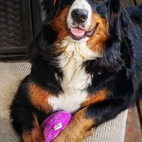 processed/d6730bba-a89f-47fd-9cbb-ea399a009d7b/facility/1eebe593-a87b-4c15-8751-57a3dc000413