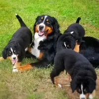 processed/d6730bba-a89f-47fd-9cbb-ea399a009d7b/facility/3b4ac49b-64d6-4beb-8255-ef2b1deab23b