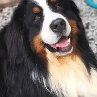 processed/d6730bba-a89f-47fd-9cbb-ea399a009d7b/facility/3cf44f31-d292-4856-9e1b-cb1263e2ae3a