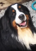 processed/d6730bba-a89f-47fd-9cbb-ea399a009d7b/facility/3cf44f31-d292-4856-9e1b-cb1263e2ae3a