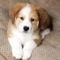 processed/d6730bba-a89f-47fd-9cbb-ea399a009d7b/facility/546930ec-d76f-40fe-97b6-6615a121b8fb