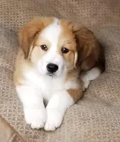 processed/d6730bba-a89f-47fd-9cbb-ea399a009d7b/facility/546930ec-d76f-40fe-97b6-6615a121b8fb