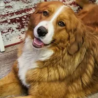 processed/d6730bba-a89f-47fd-9cbb-ea399a009d7b/facility/774d578d-2724-423e-8137-ad6c73deb953