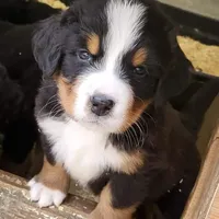 processed/d6730bba-a89f-47fd-9cbb-ea399a009d7b/facility/7c1288cf-93ea-4e01-b460-f823aeb10b62