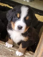 processed/d6730bba-a89f-47fd-9cbb-ea399a009d7b/facility/7c1288cf-93ea-4e01-b460-f823aeb10b62