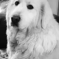 processed/d6730bba-a89f-47fd-9cbb-ea399a009d7b/facility/a4fa4ad5-4a80-4c0b-b8b9-c32f35467c8b