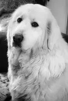 processed/d6730bba-a89f-47fd-9cbb-ea399a009d7b/facility/a4fa4ad5-4a80-4c0b-b8b9-c32f35467c8b