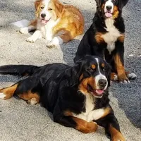 processed/d6730bba-a89f-47fd-9cbb-ea399a009d7b/facility/bd143642-2ed6-4bfb-b51f-b8e364f8c382