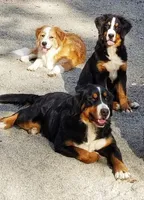 processed/d6730bba-a89f-47fd-9cbb-ea399a009d7b/facility/bd143642-2ed6-4bfb-b51f-b8e364f8c382