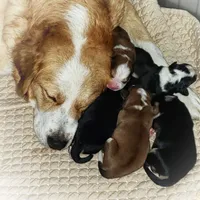 processed/d6730bba-a89f-47fd-9cbb-ea399a009d7b/facility/e8a72ff8-6f97-433b-9488-1c9b74d9831c