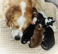 processed/d6730bba-a89f-47fd-9cbb-ea399a009d7b/facility/e8a72ff8-6f97-433b-9488-1c9b74d9831c