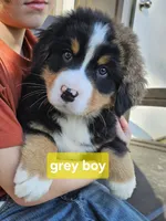 processed/d6730bba-a89f-47fd-9cbb-ea399a009d7b/listing/224a8c98-4cf2-4b40-9c57-fcd09ff769d0/810b306b-4e1b-499f-973a-940ee6aad416