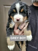 processed/d6730bba-a89f-47fd-9cbb-ea399a009d7b/listing/224a8c98-4cf2-4b40-9c57-fcd09ff769d0/bd466068-6515-4fde-abbb-7887fa8c0972