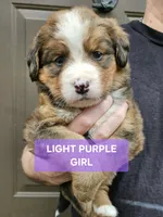 processed/d6730bba-a89f-47fd-9cbb-ea399a009d7b/listing/737c478b-5005-4015-b1ec-fbd3a2f268d3/59ed9d0d-f62d-4e3c-978e-4b2a92b3a935