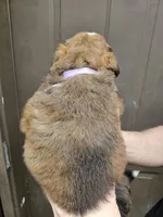 processed/d6730bba-a89f-47fd-9cbb-ea399a009d7b/listing/737c478b-5005-4015-b1ec-fbd3a2f268d3/8e671bc8-ebf8-4a85-82be-8058c1403975