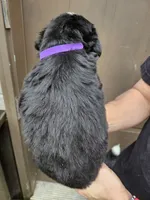 processed/d6730bba-a89f-47fd-9cbb-ea399a009d7b/listing/bef5dd2c-b0ea-420a-ac5a-5f825c6c4556/35ad6ddc-2260-4bcd-adc4-174fdf26d87c