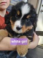 processed/d6730bba-a89f-47fd-9cbb-ea399a009d7b/listing/cb5f7150-98dc-4970-b2e9-2937c3cb22a9/9c2c5f9b-cf18-40e6-8152-b43c8c88ab41