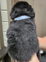 processed/d6730bba-a89f-47fd-9cbb-ea399a009d7b/listing/cb5f7150-98dc-4970-b2e9-2937c3cb22a9/f8e15b71-2db2-4fac-adea-7809657475f1