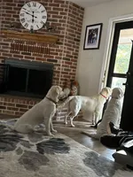 processed/d674aae1-fba8-43ed-a0e7-008bd5052743/facility/30d0555f-3570-457d-969b-12ce44b61c18