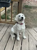 processed/d674aae1-fba8-43ed-a0e7-008bd5052743/facility/d424f44b-1792-4452-a4af-3e9377556d4c