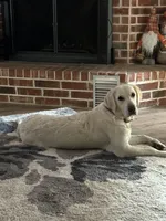 processed/d674aae1-fba8-43ed-a0e7-008bd5052743/facility/dc3371b5-48c0-454b-93b2-26eaf09963bd