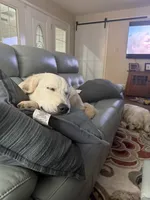 processed/d674aae1-fba8-43ed-a0e7-008bd5052743/facility/e425f56c-2924-469b-857a-04cb5bd3e0ac