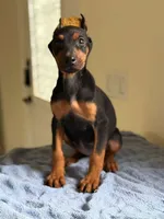 processed/d67d78ae-8835-4394-94bc-7e4d47d87190/listing/80363f2e-9e2c-4511-9544-8fa672680032/a2635c6a-4ad9-4365-86c5-80c3df76c3fc