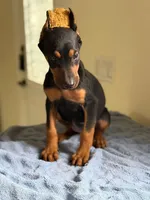 processed/d67d78ae-8835-4394-94bc-7e4d47d87190/listing/80363f2e-9e2c-4511-9544-8fa672680032/c868f69d-16f8-456e-85b4-adf38c7f6eb1