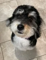 processed/d67dbe27-9229-48ae-969a-c199f12ea7a7/facility/df495629-bab1-4dc1-9461-e5b29d920761