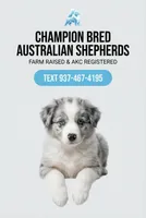 processed/d68a534f-145d-48b9-a20c-e1d7308ad194/facility/2029bad4-4c67-4f3c-b307-4b33462a4a5b