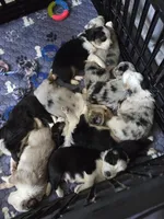 processed/d68a534f-145d-48b9-a20c-e1d7308ad194/facility/6fbe16fa-1a93-43f9-a88f-863f6c0d1a41