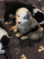 processed/d68a534f-145d-48b9-a20c-e1d7308ad194/facility/8a46f82d-1b5f-4d23-b3c4-b216d5c86596